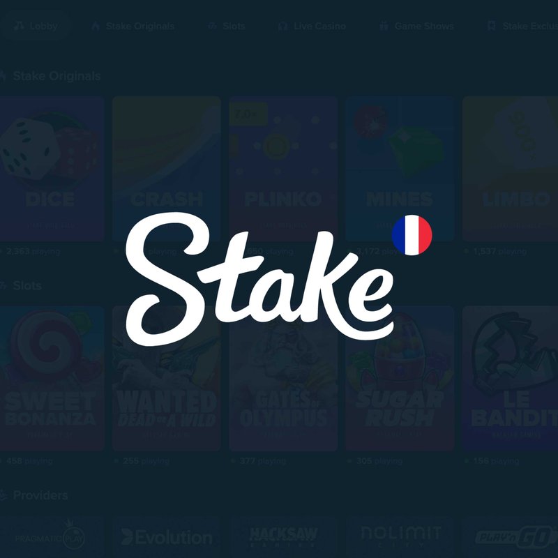 Présentation de stake casino en france